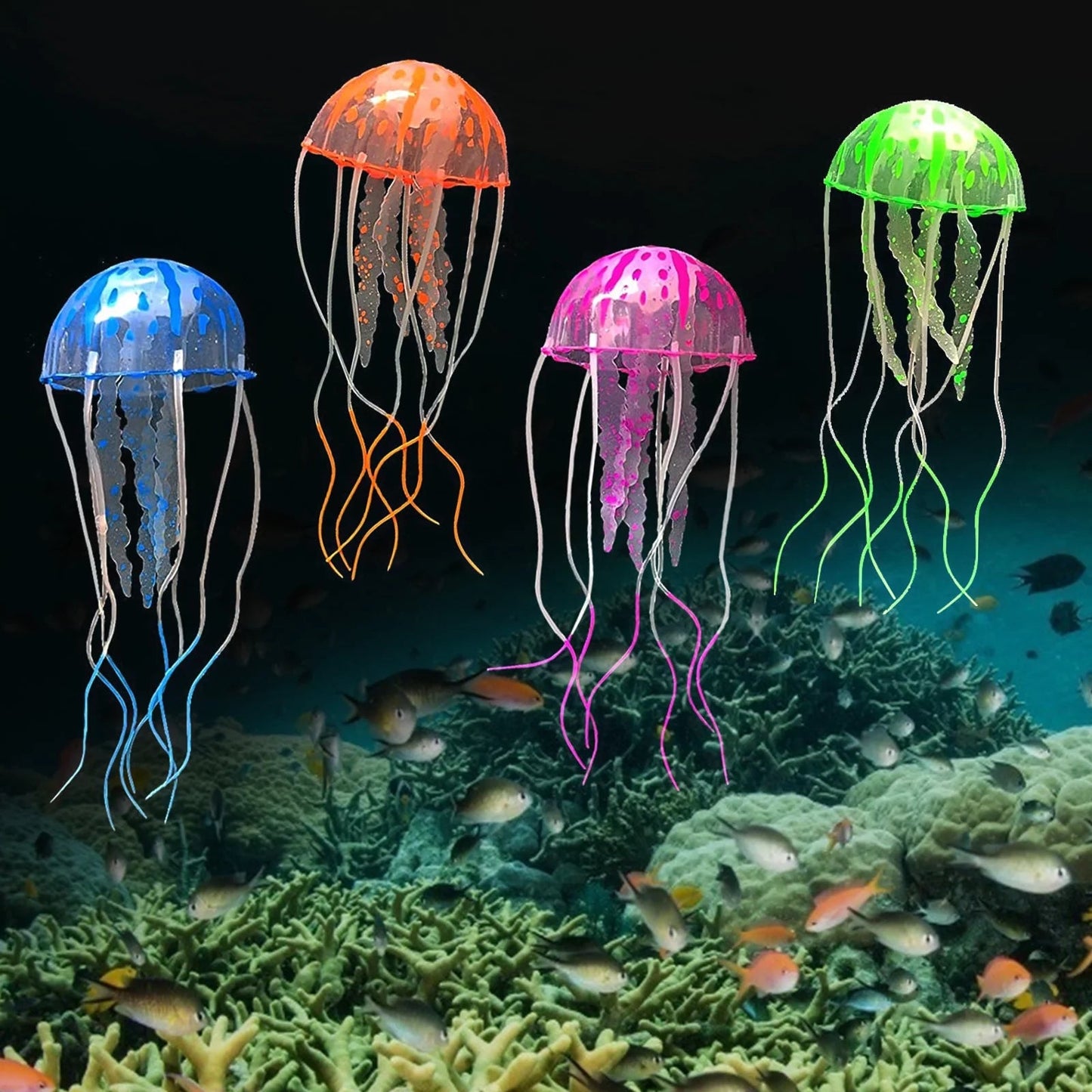 Aquarium Decorations
