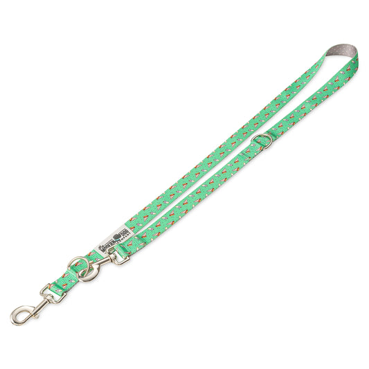 Pizza Party Leash