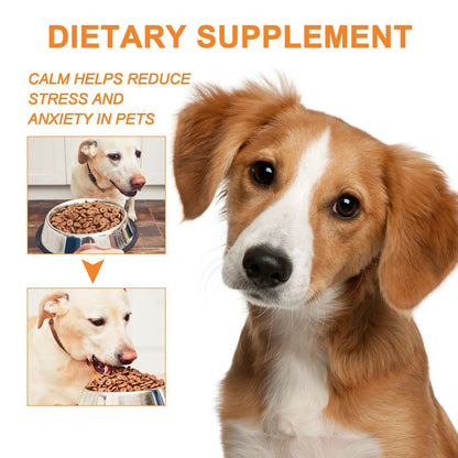 Cat And Dog Diet Care