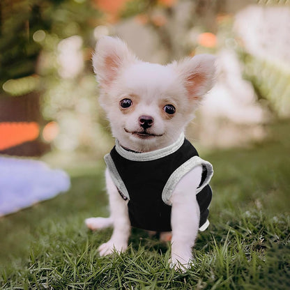 Small Dog Shirts