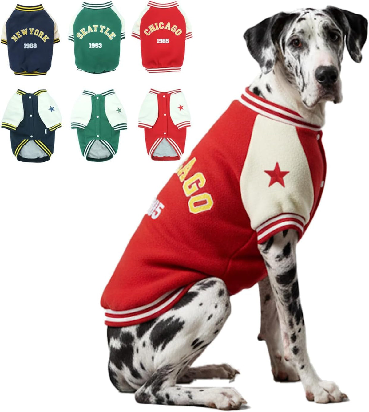 Warm Dog Varsity Jacket