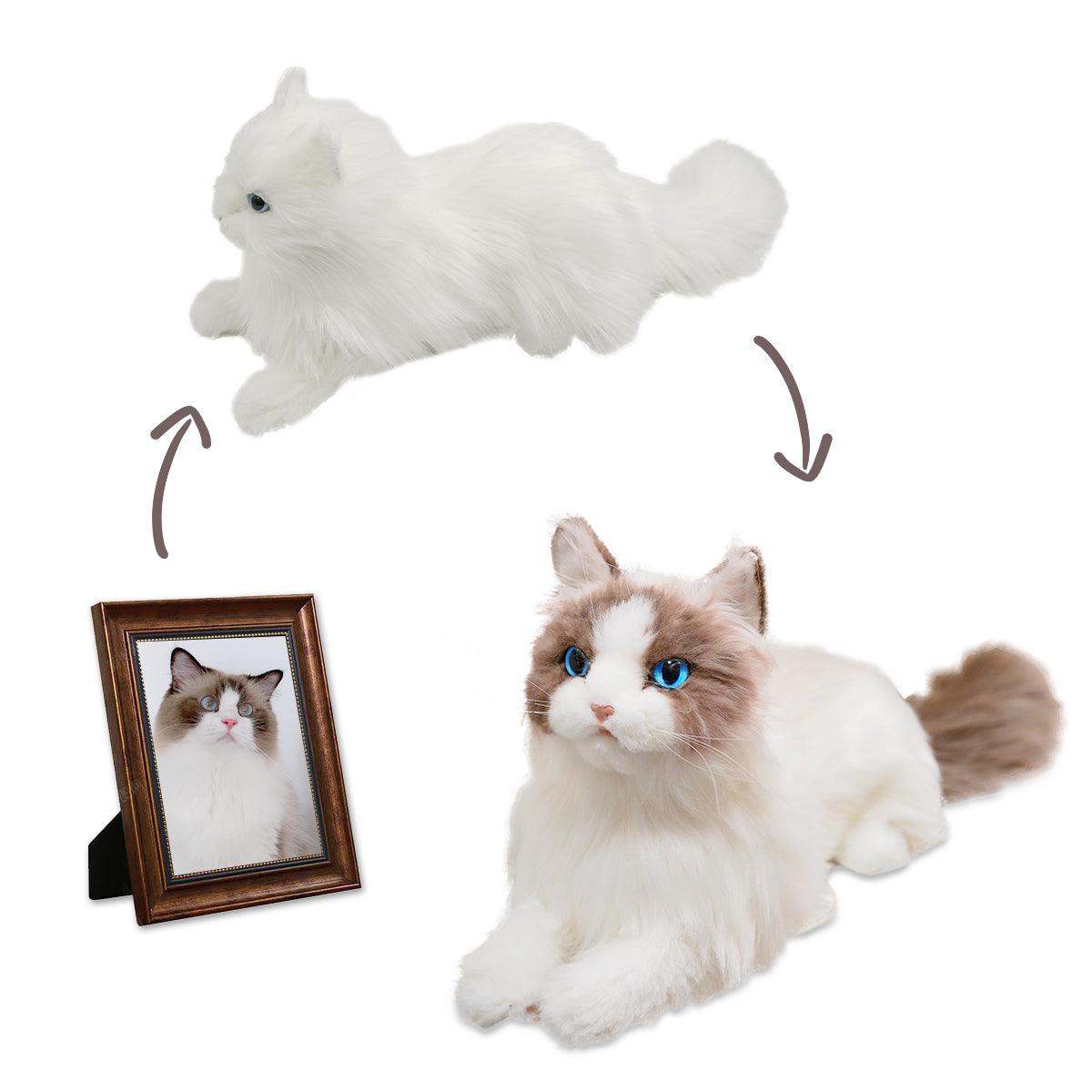 Custom Cat Plush