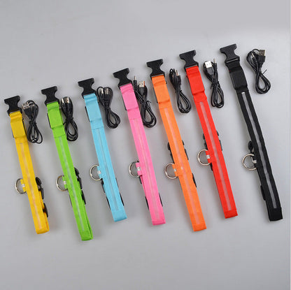 Glow in Dark Dog/Cat Leash