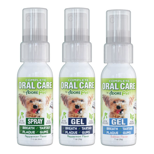 Oral Care for Pets