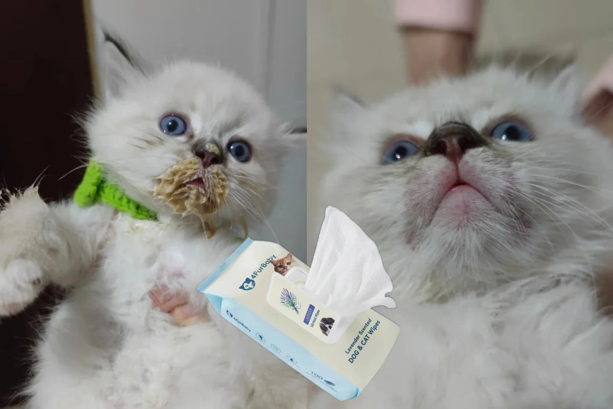 Dog & Cat Grooming Wipes
