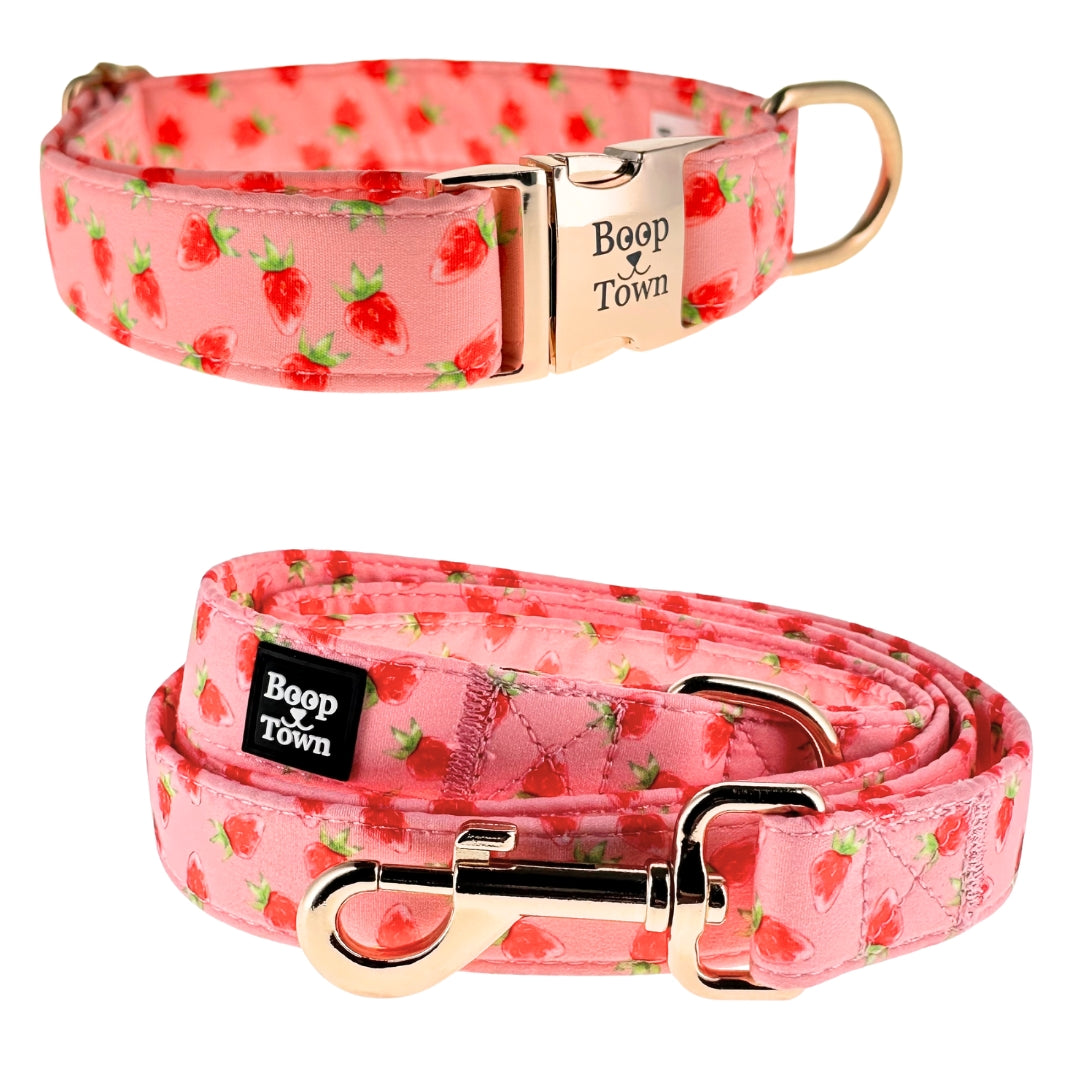 Dog Collar and Leash Set