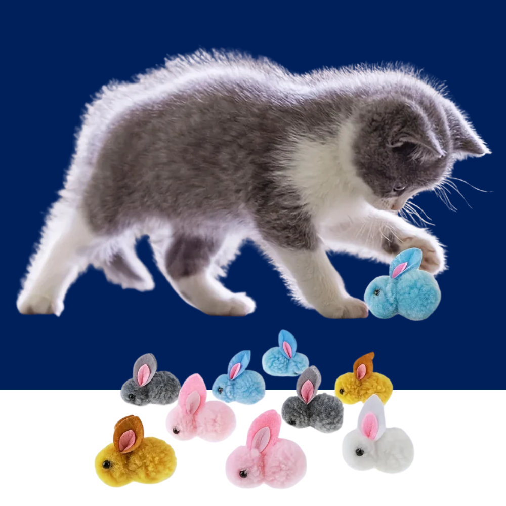 Cat Toy Balls
