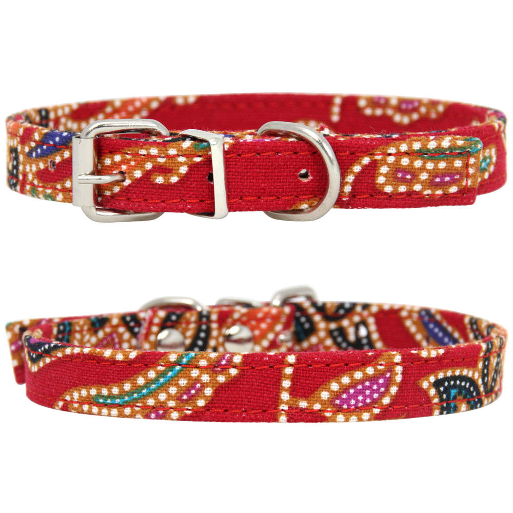 Dog Leash & Collar