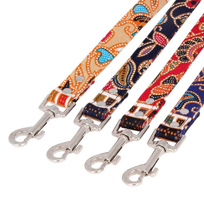 Dog Leash & Collar