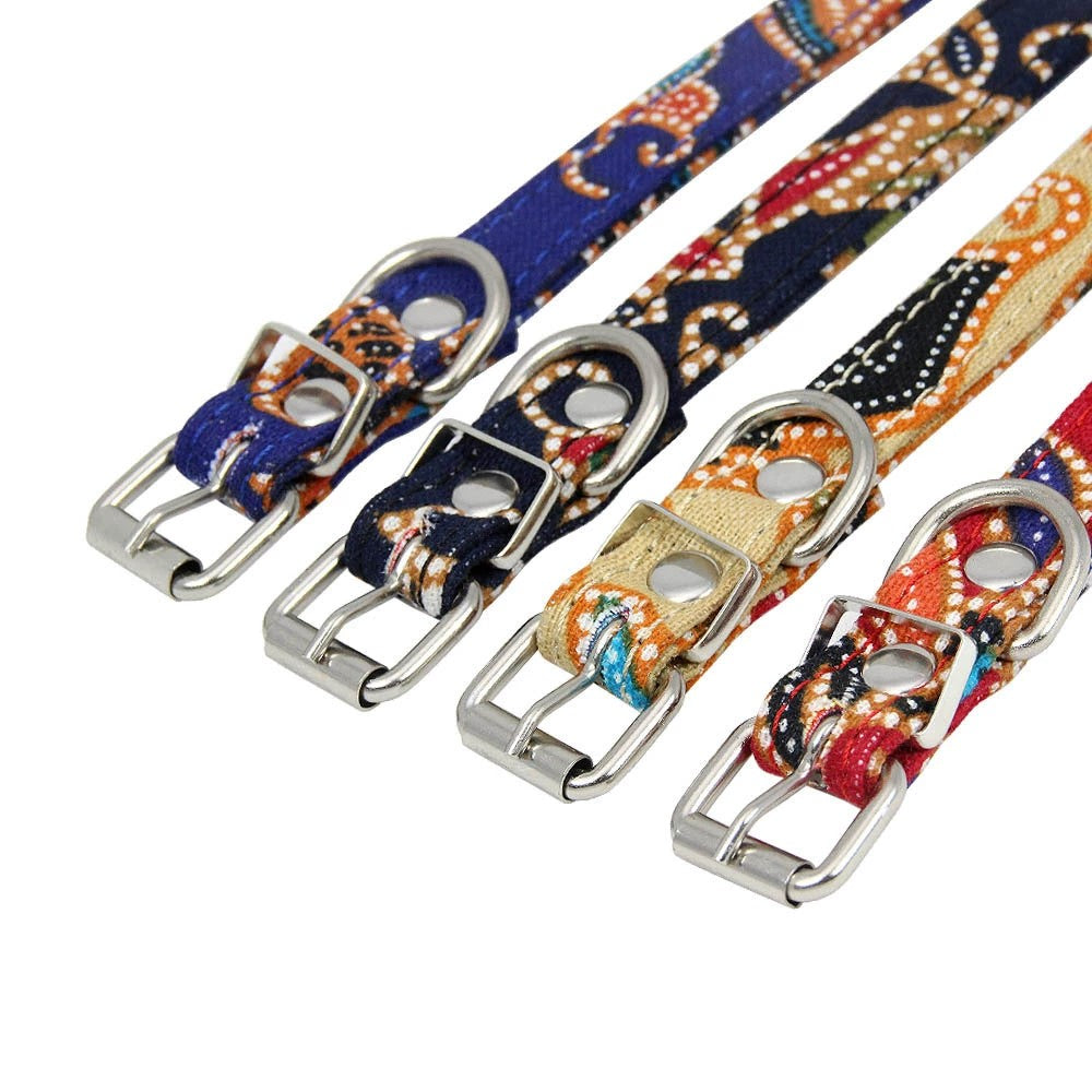 Dog Leash & Collar