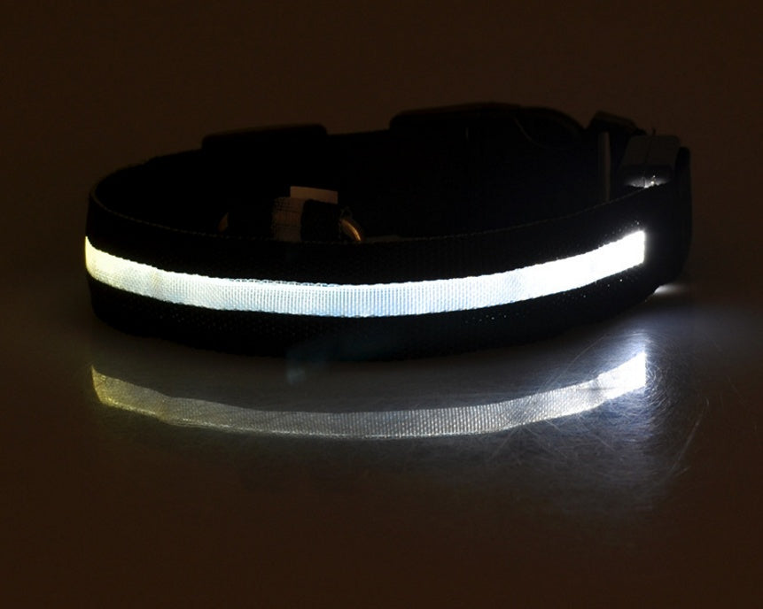 Glow in Dark Dog/Cat Leash