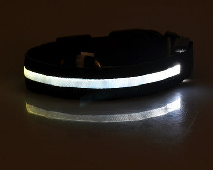 Glow in Dark Dog/Cat Leash