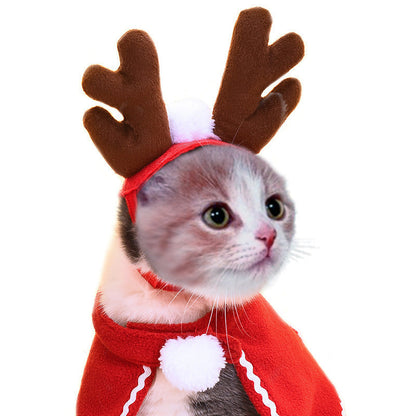 Funny Pet Costume