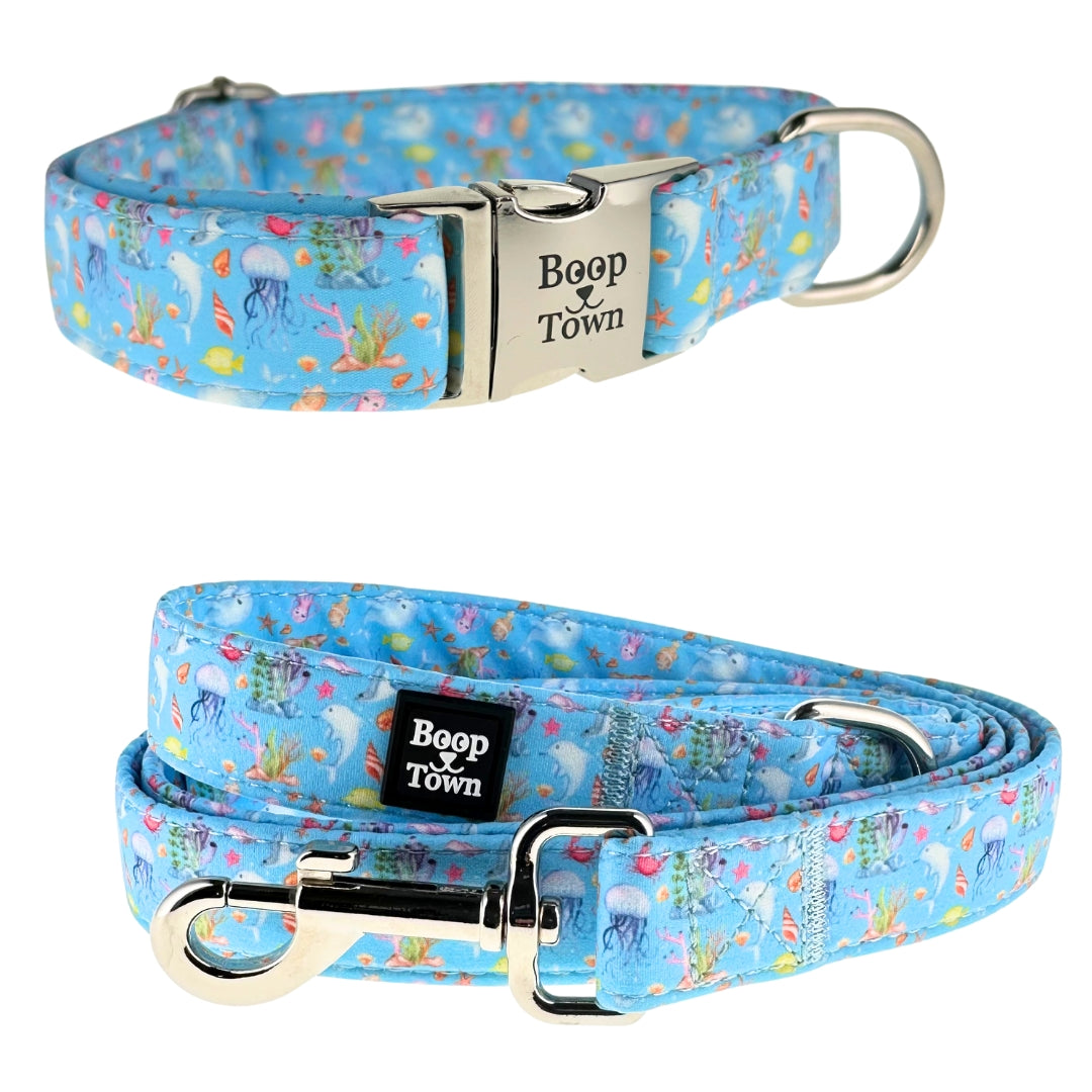Dog Collar and Leash Set