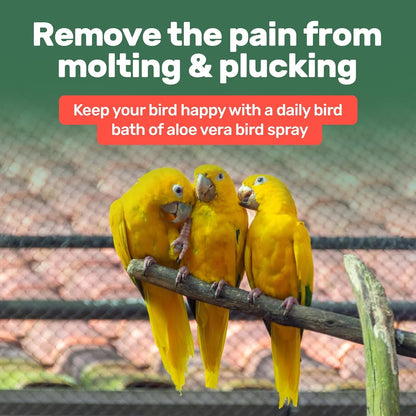Aloe Vera Bird Spray