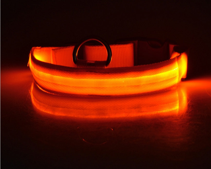 Glow in Dark Dog/Cat Leash