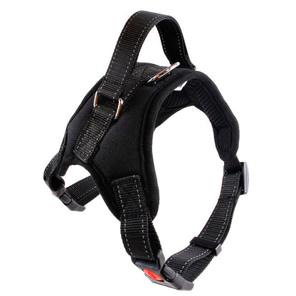 Medium and Large Dog Dog Collar