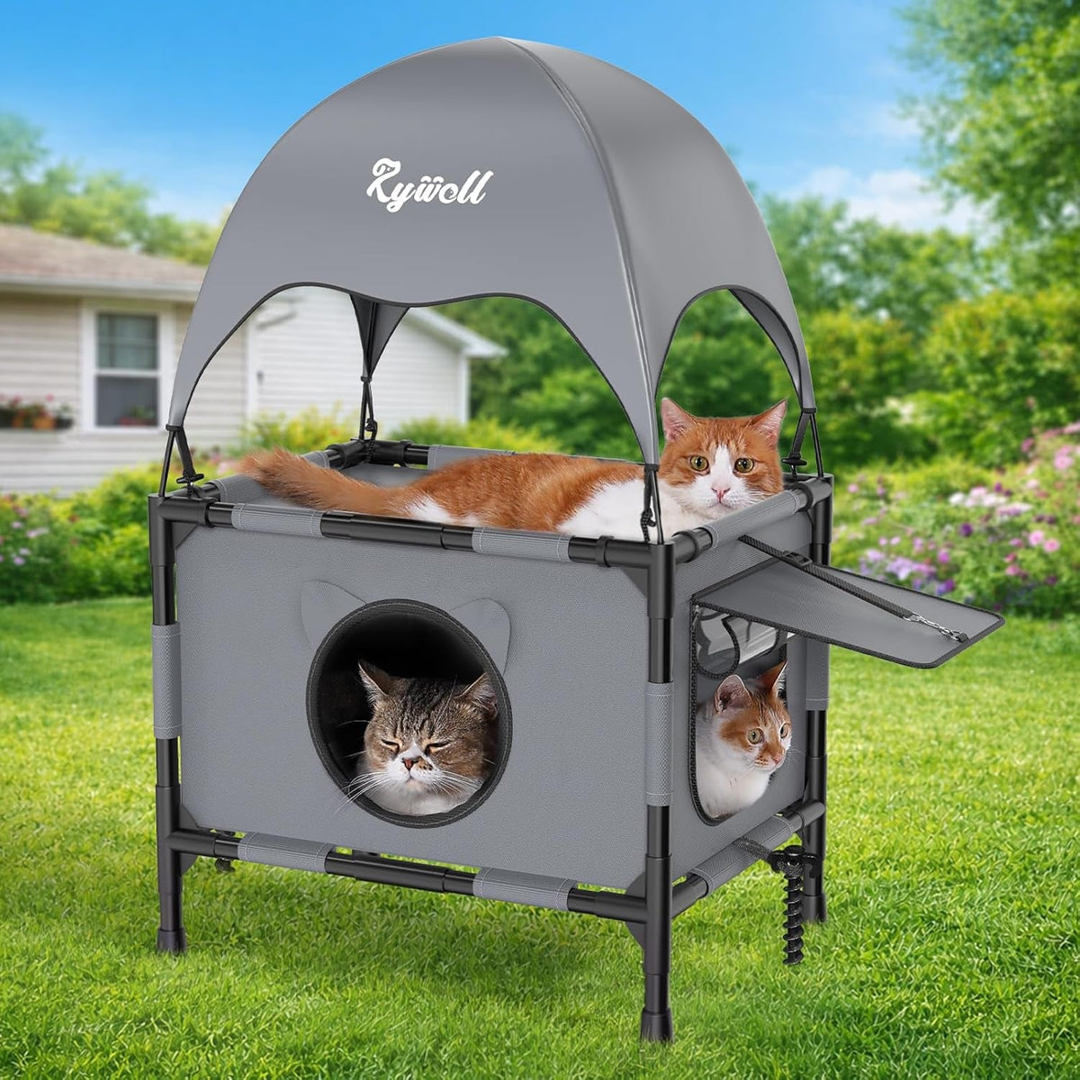 Outdoor Cat House