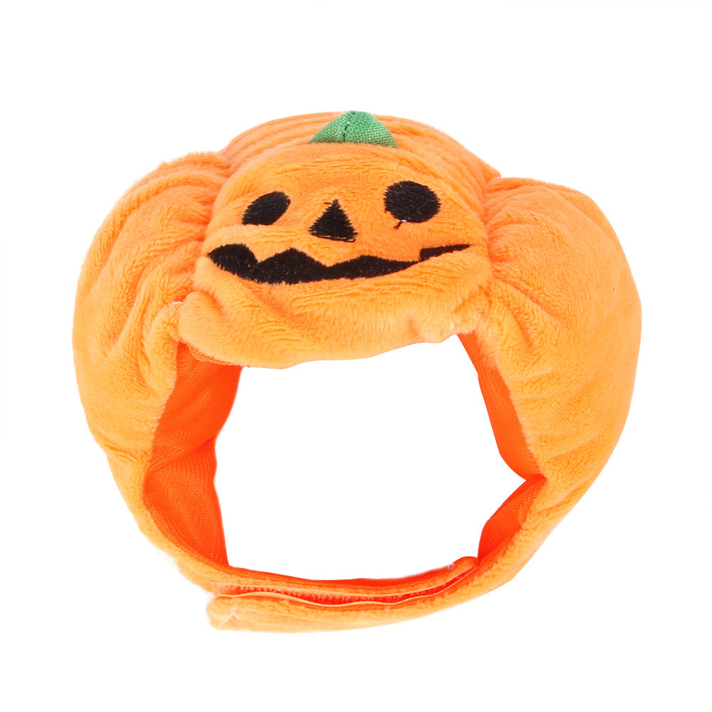 Funny Pet Costume
