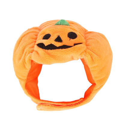 Funny Pet Costume