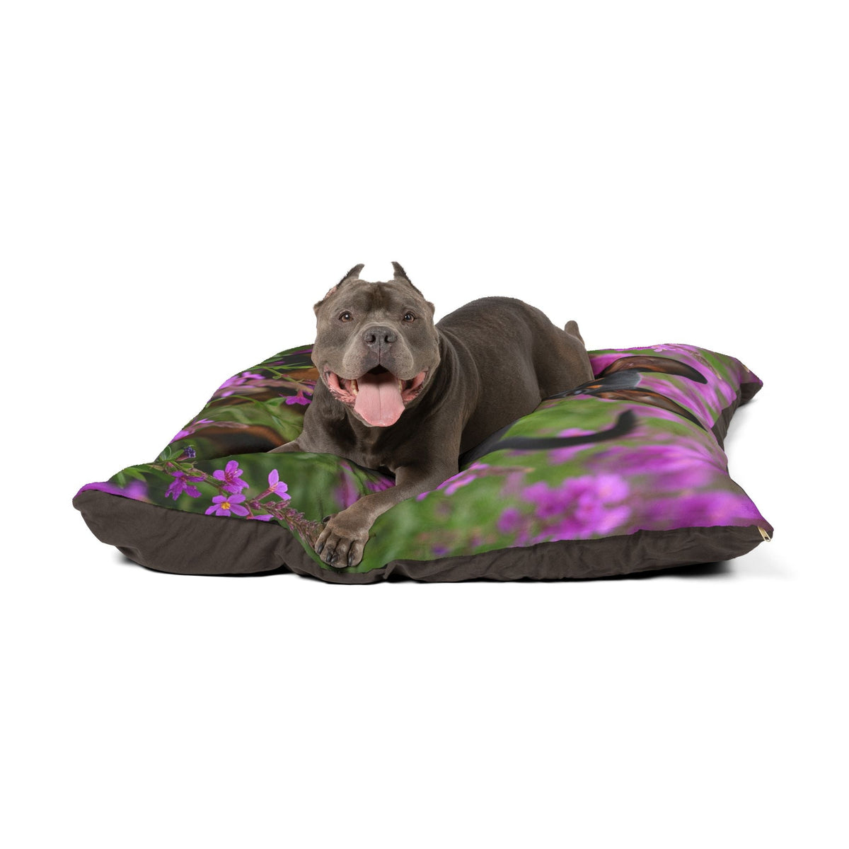 Plush Dog Bed
