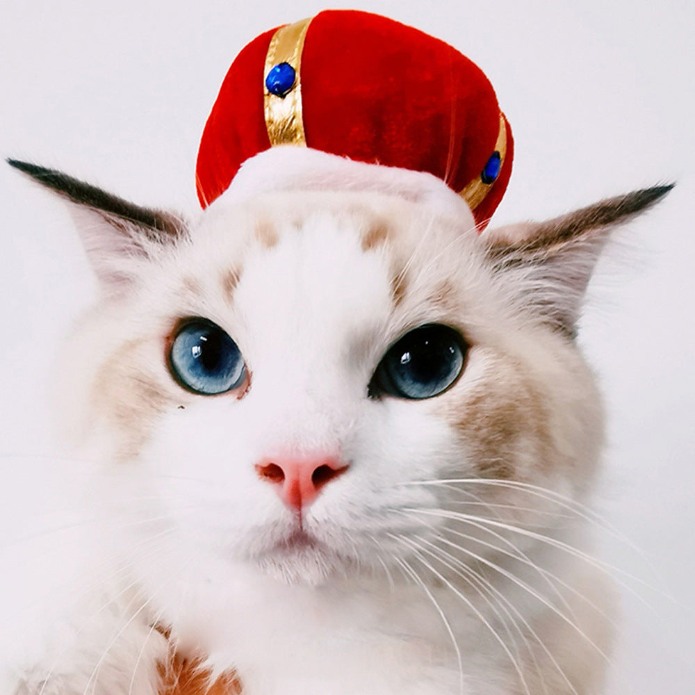Funny Pet Costume