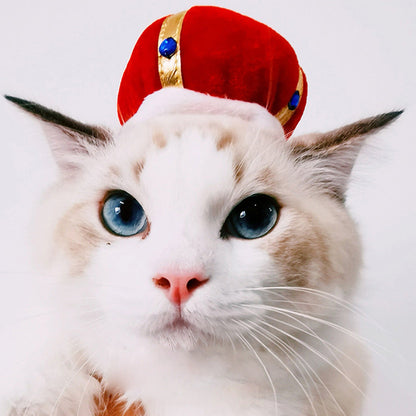 Funny Pet Costume