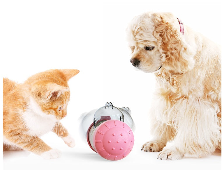 Dog Treat Toy