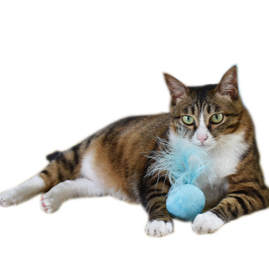 Catnip Cat Ball