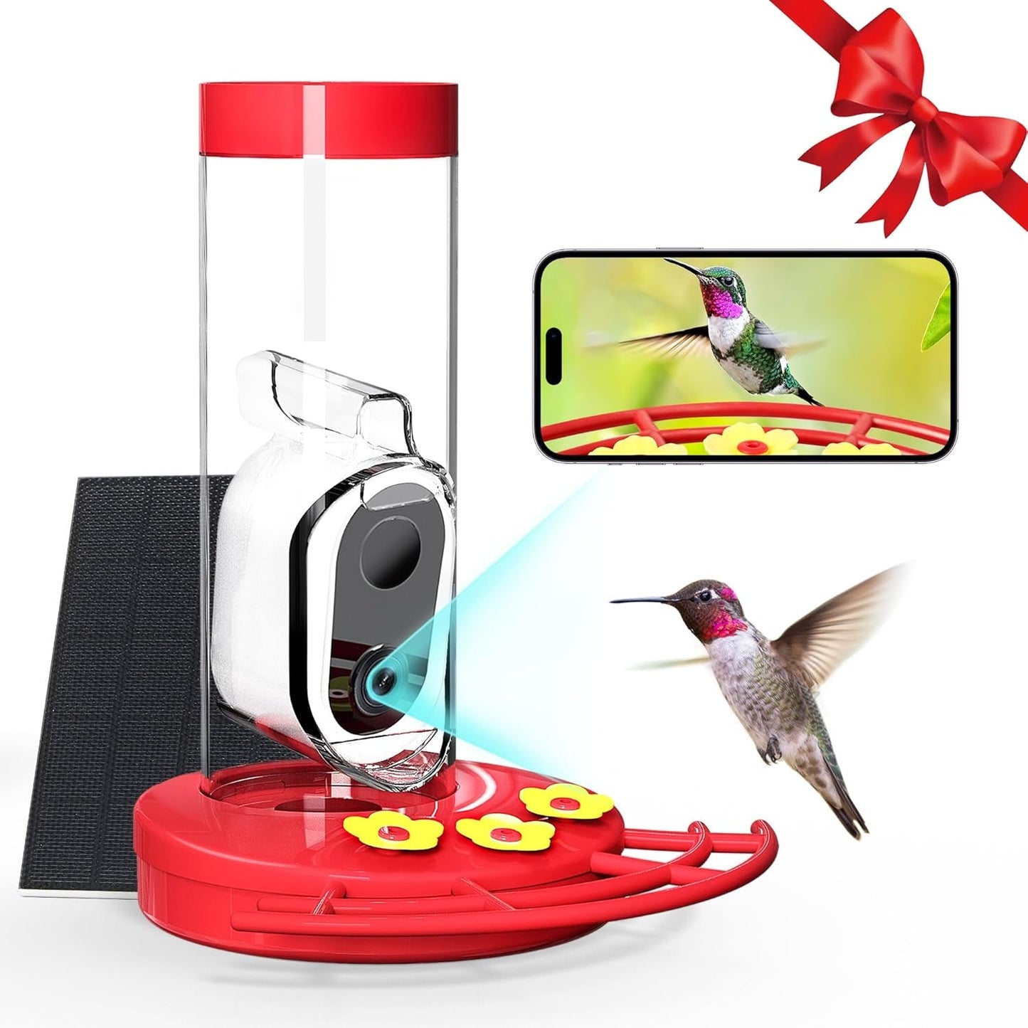 Hummingbird Feeder Camera