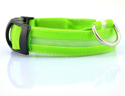 Glow in Dark Dog/Cat Leash