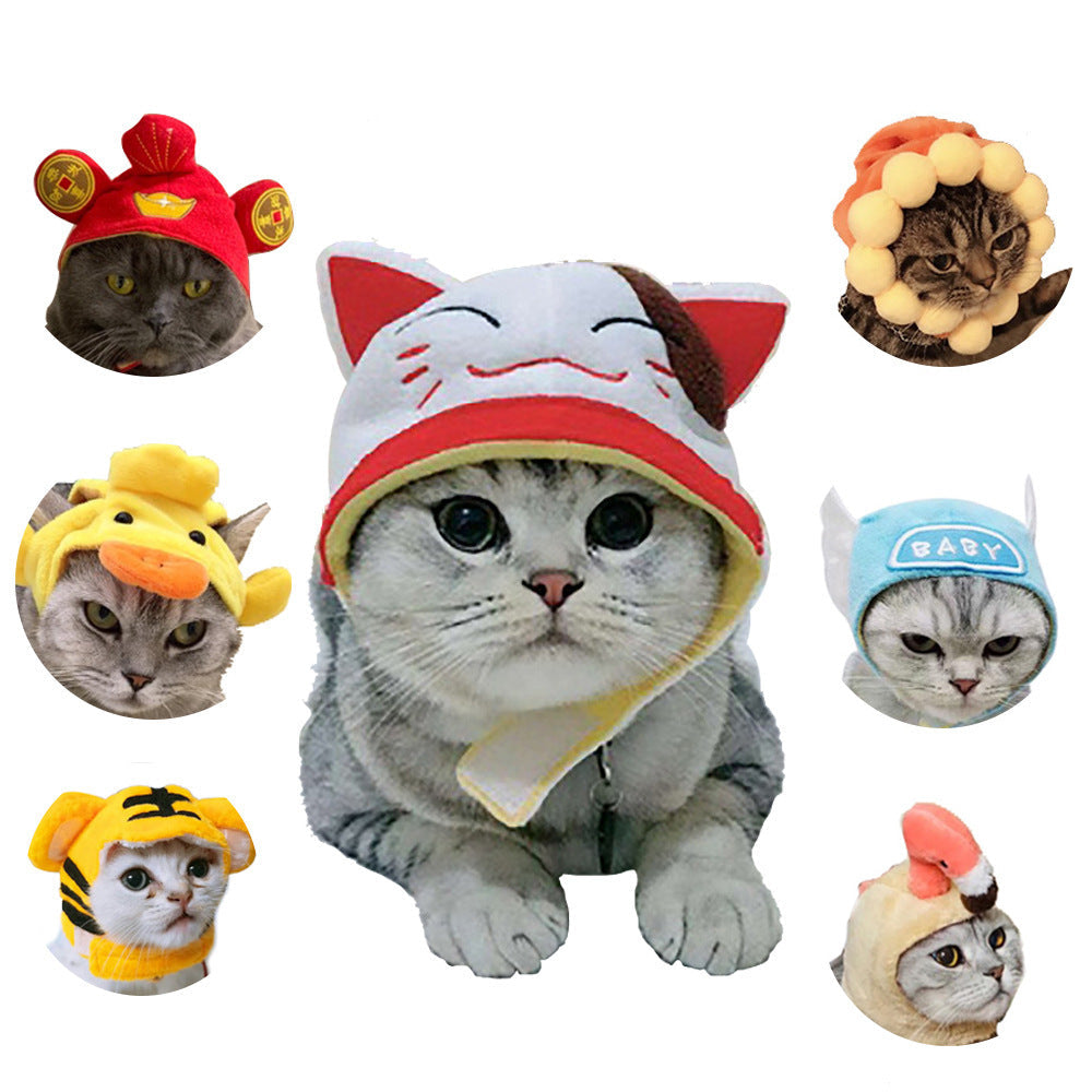 Funny Pet Costume
