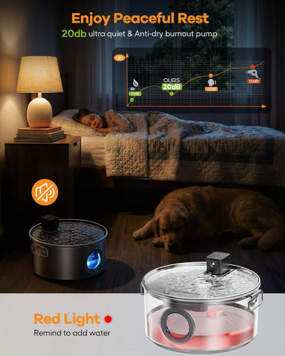 Wireless Water Fountain