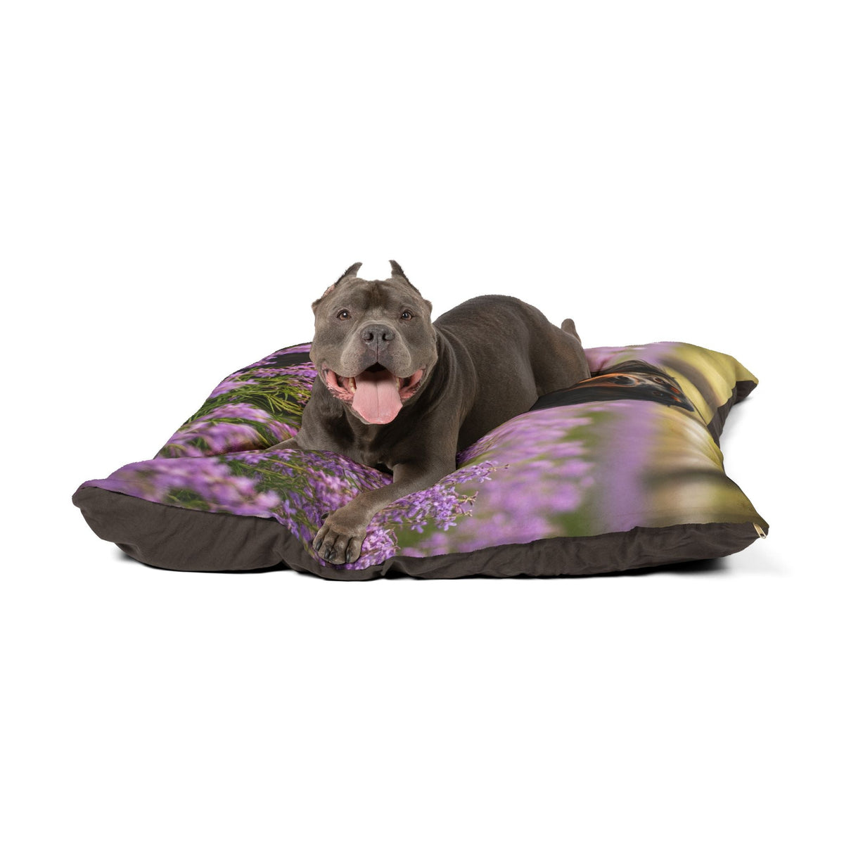 Plush Dog Bed