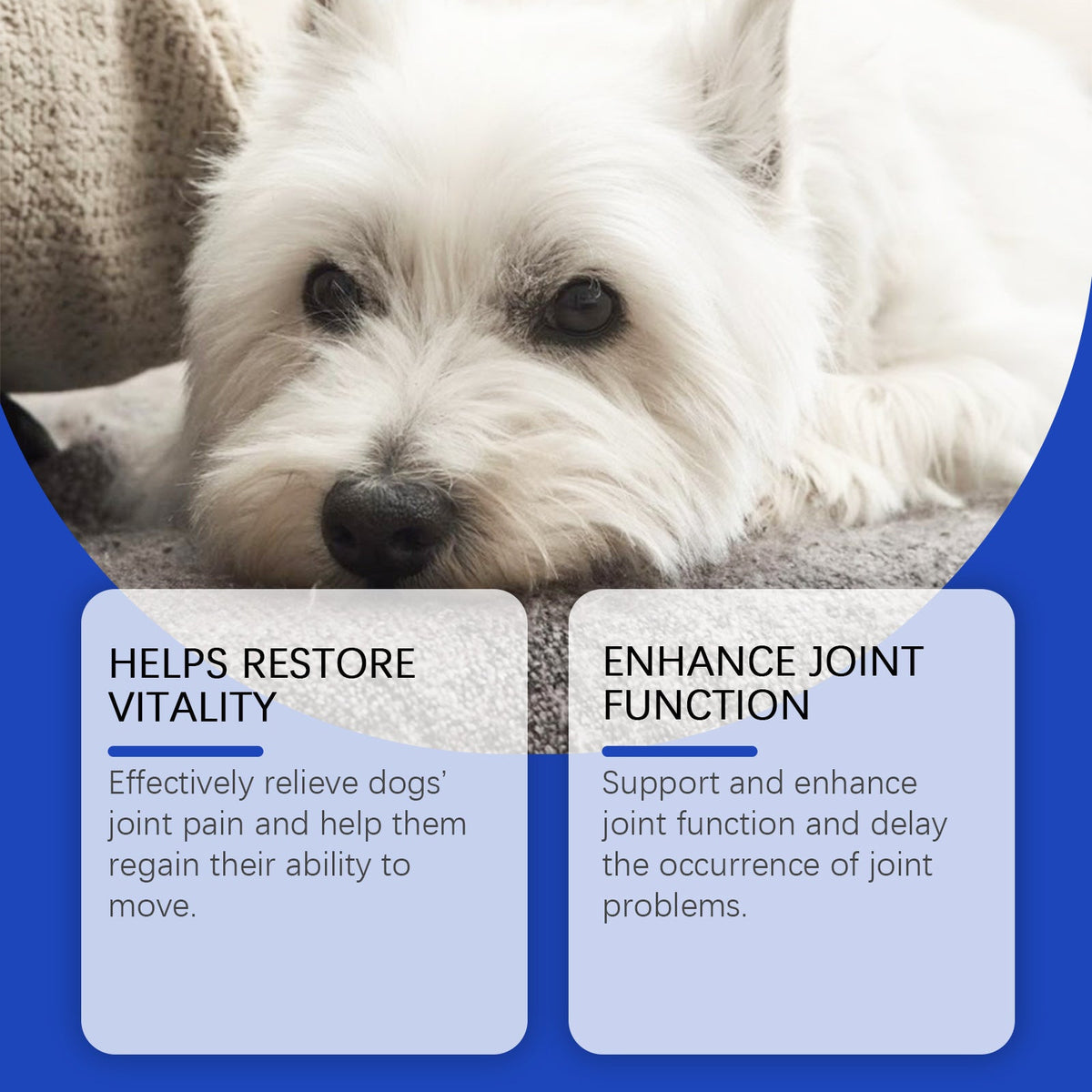 Pet Dog Joint Supplements