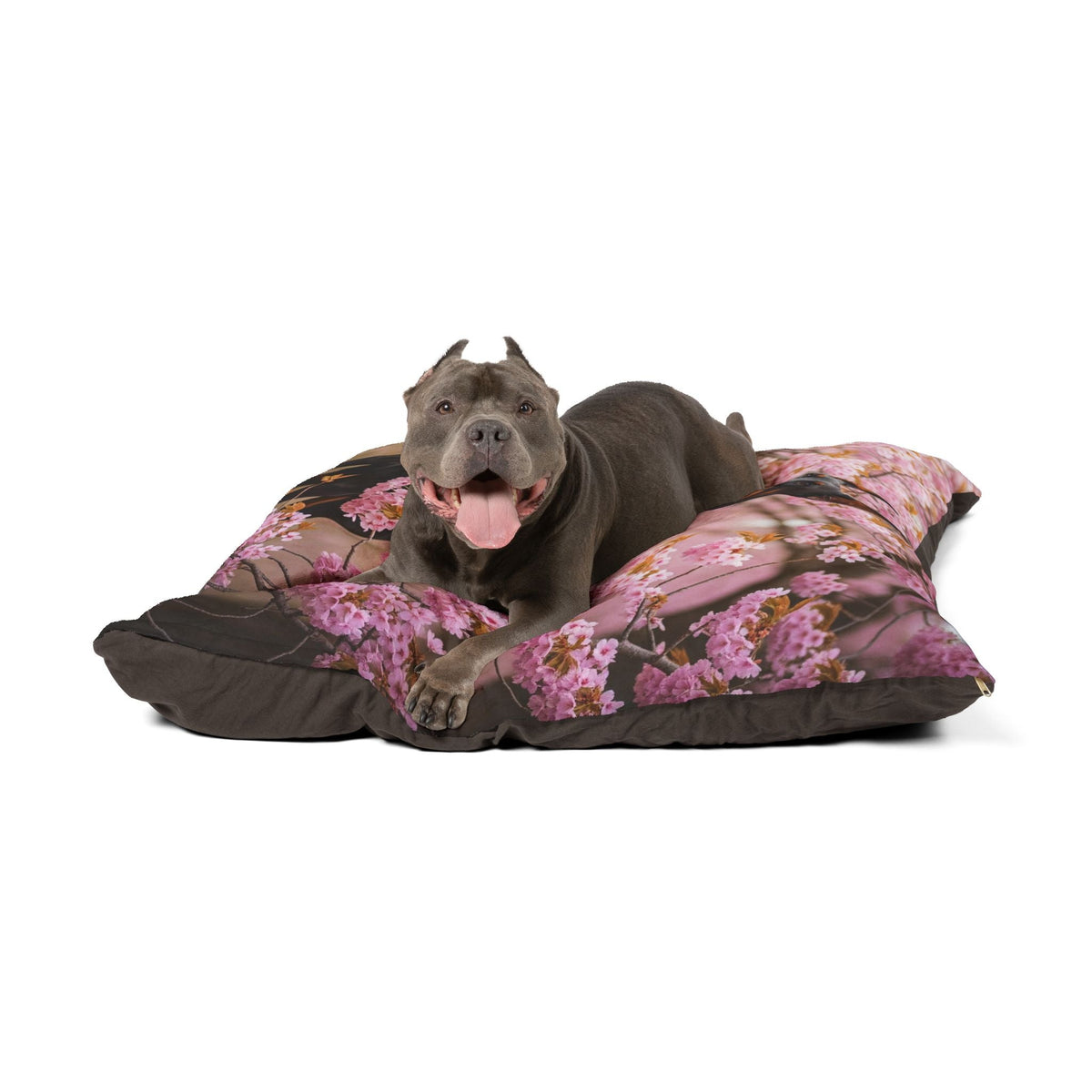 Plush Dog Bed