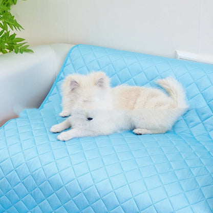 Summer Dog Mat
