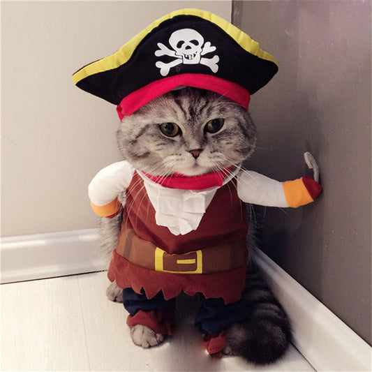 Teddy Pirate Pet Costume