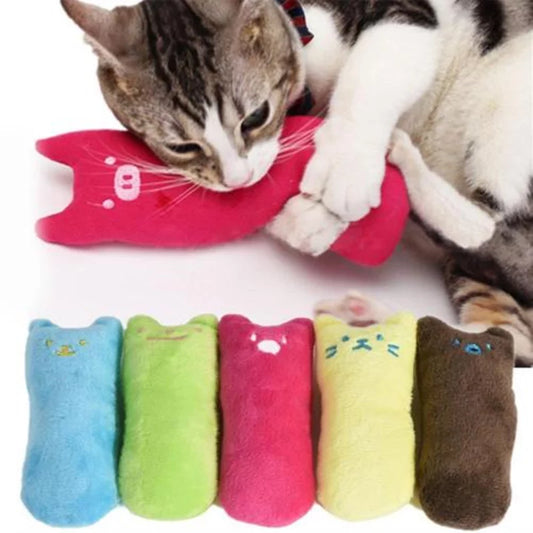 Cat Toys Pillow