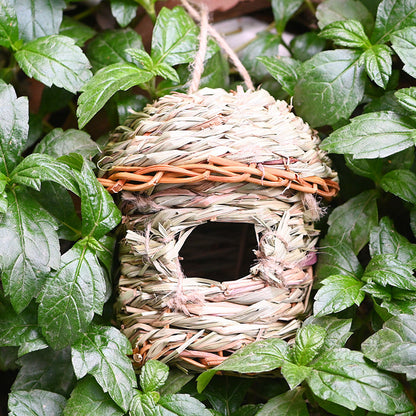 Straw Birds Nest