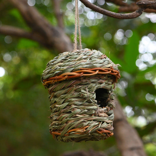 Straw Birds Nest