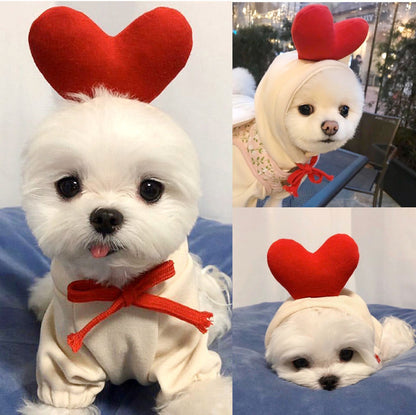 Dog Clothes For Small Dogs