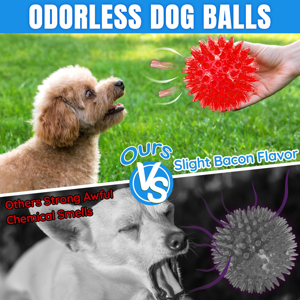 Squeaky Dog Balls