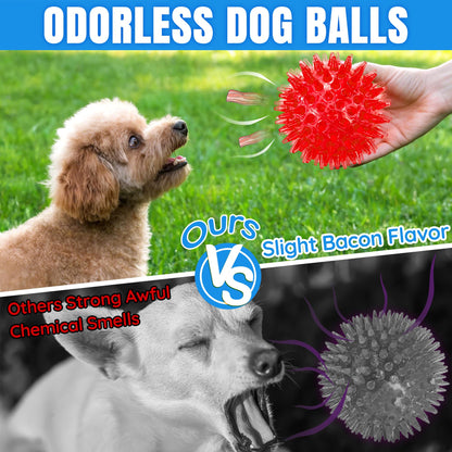 Squeaky Dog Balls
