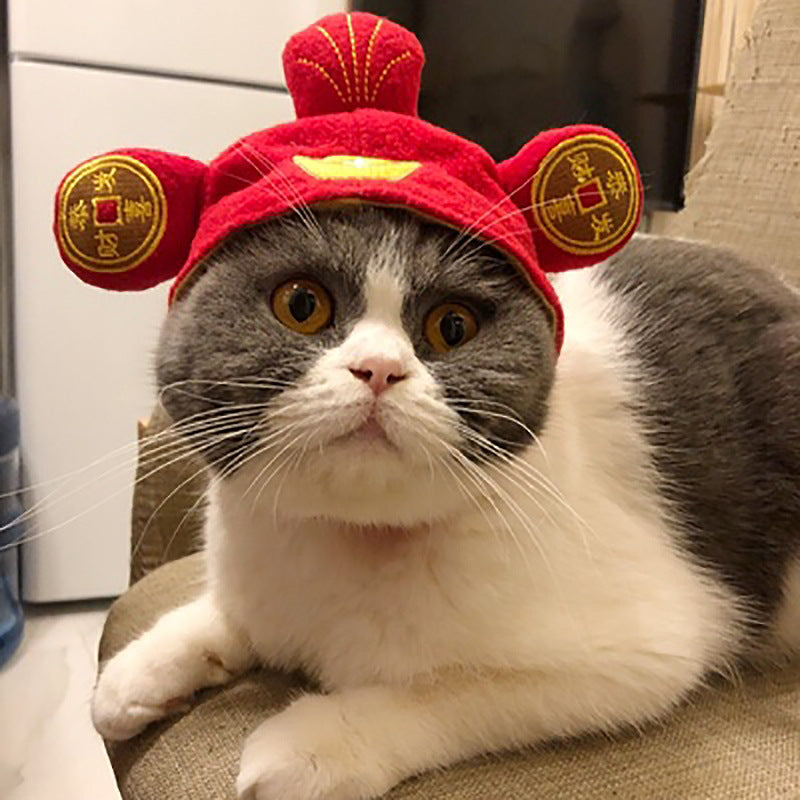 Funny Pet Costume