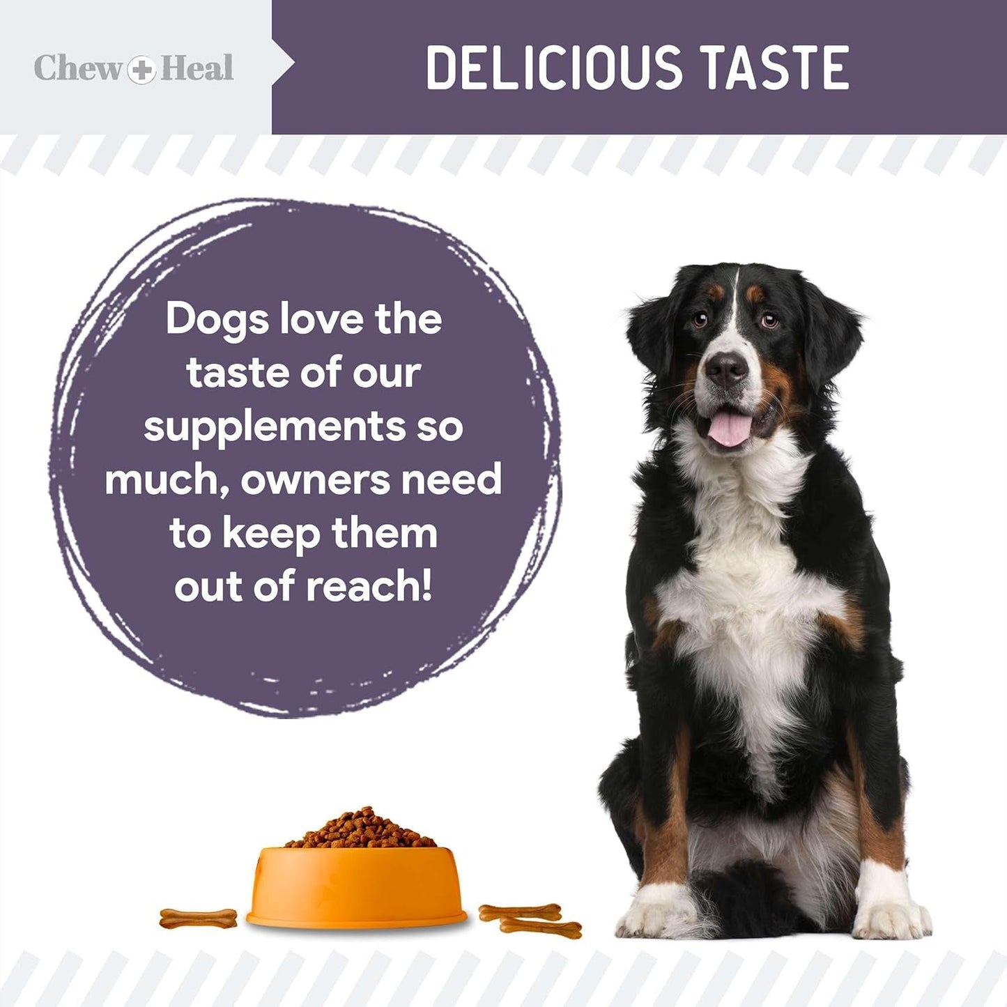 Senior Dog Joint Supplement