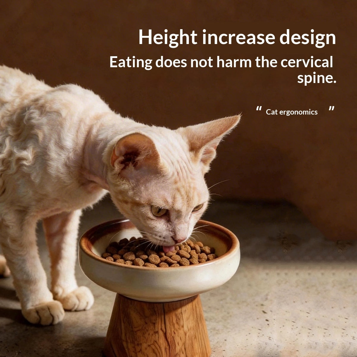 Ceramic Food Dish Bowl