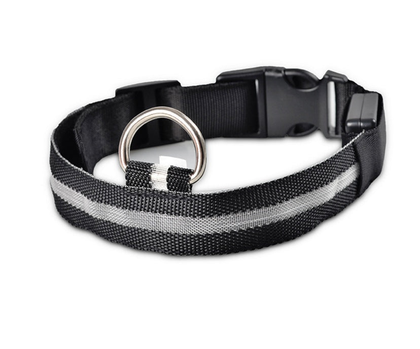 Glow in Dark Dog/Cat Leash