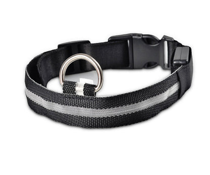 Glow in Dark Dog/Cat Leash