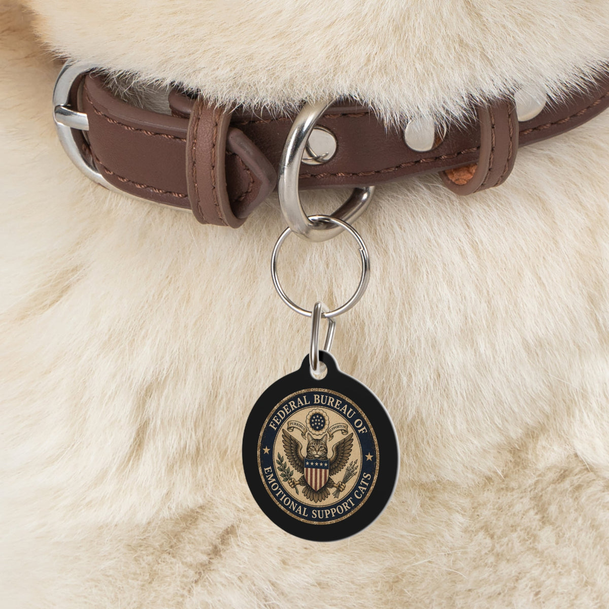 Cats Pet Tag